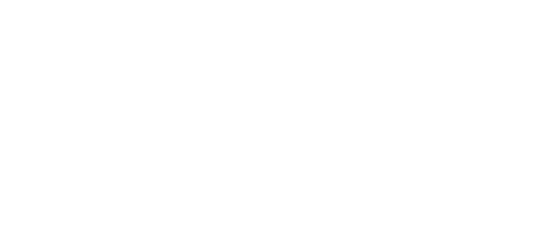 Lažybos dėl Premier League internete